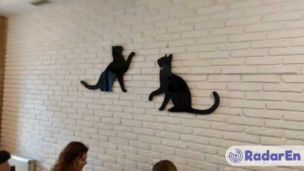 Cat cafe Lviv - Львів на RadarEn (РадарЕн)