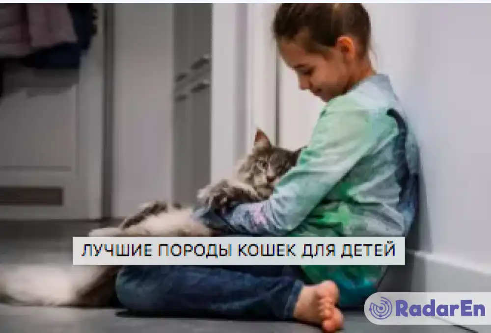 Інтернет-магазин зоотоварів в Одесі «Зоогурман»  - Одеса на RadarEn (РадарЕн)