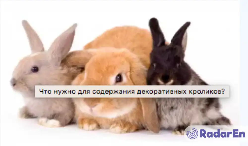 Інтернет-магазин зоотоварів в Одесі «Зоогурман»  - Одеса на RadarEn (РадарЕн)