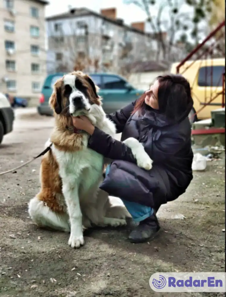 Ветеринарна клініка «Друзі Вет»  - Житомир на RadarEn (РадарЕн)