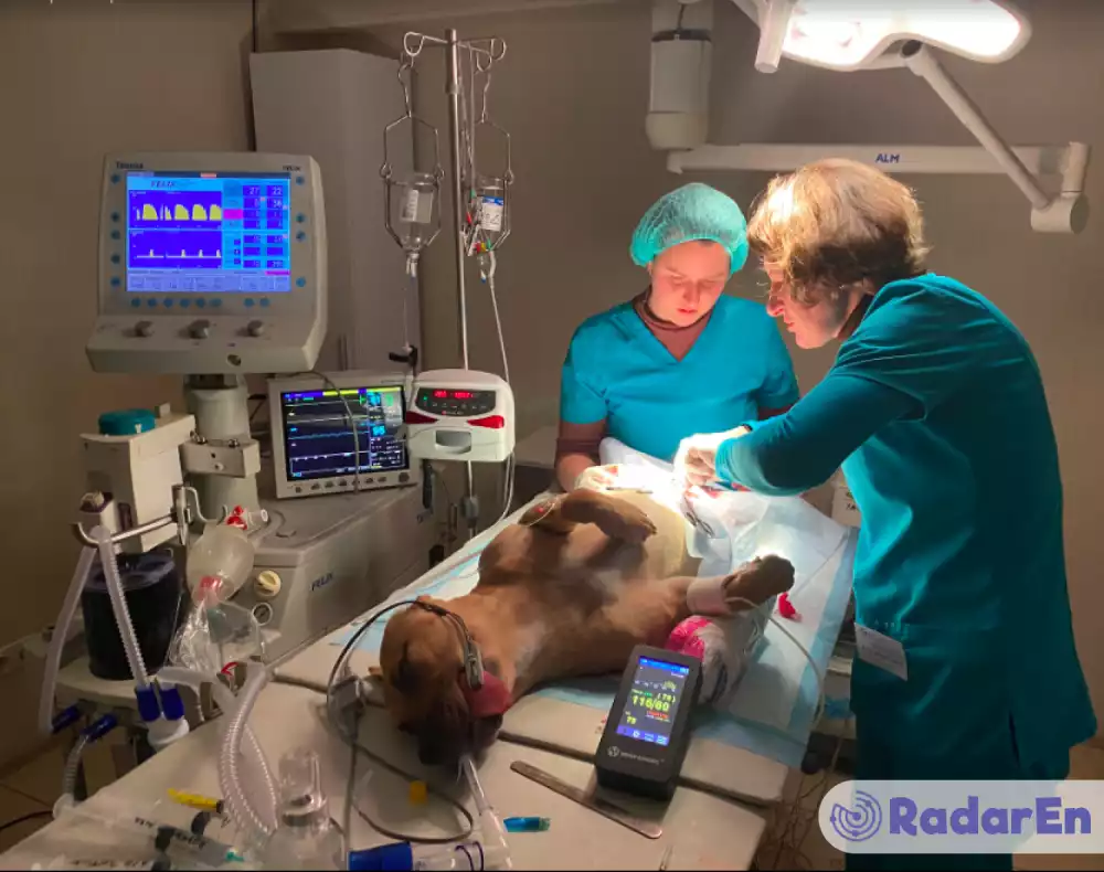 Ветеринарна клініка ВЕЛЕС VET - Миколаїв на RadarEn (РадарЕн)
