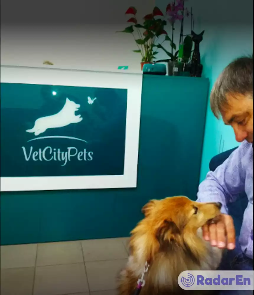 Ветеринарна клініка VetCityPets - Київ на RadarEn (РадарЕн)
