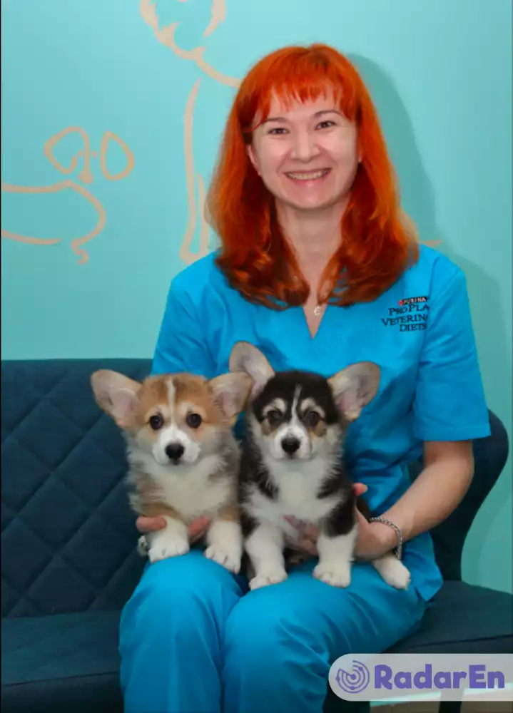 Ветеринарна клініка VetCityPets - Київ на RadarEn (РадарЕн)