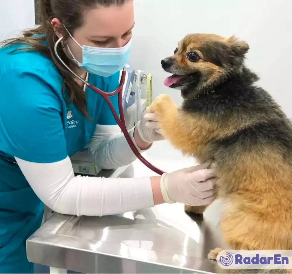 Ветеринарна клініка VetMedico - Тернопіль на RadarEn (РадарЕн)