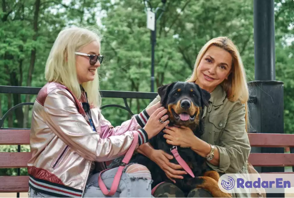 Ветеринарна клініка ЗооПатруль - Київ на RadarEn (РадарЕн)